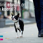 RC_Lifestyle_otsepost_1