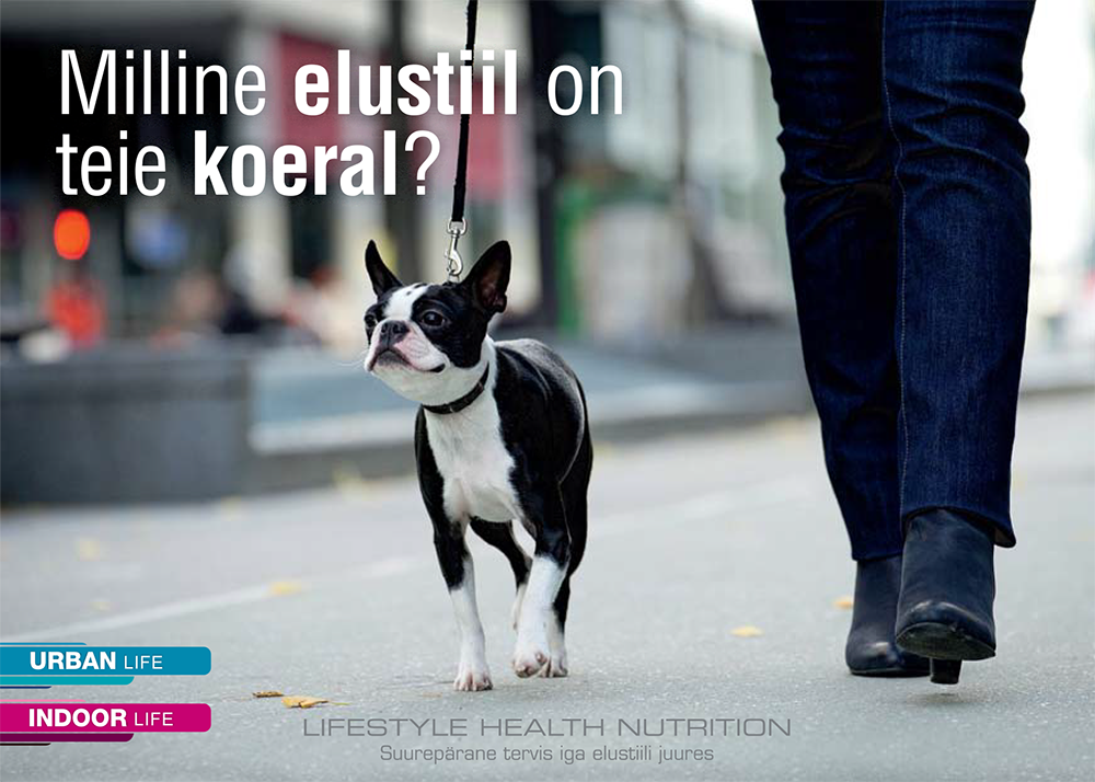 RC_Lifestyle_otsepost_1