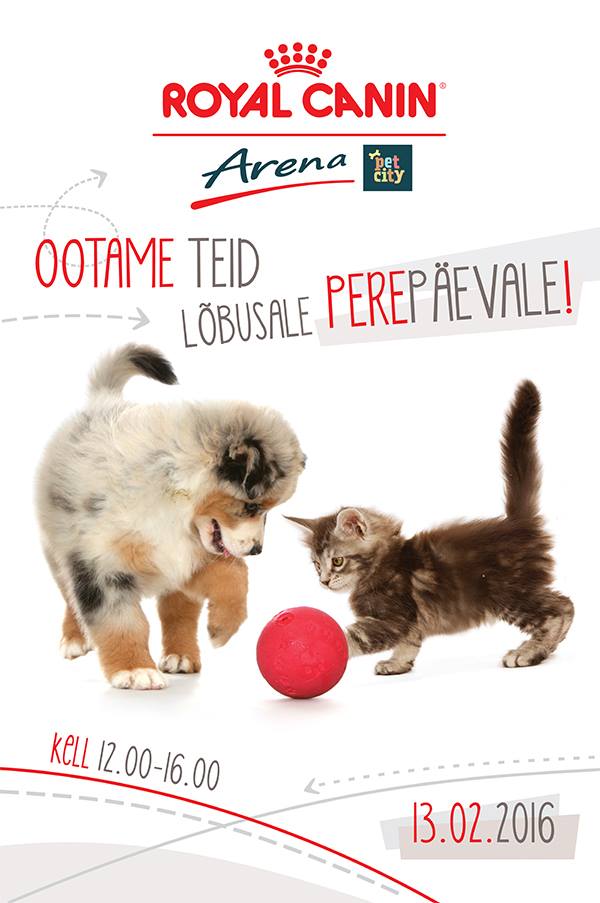 12654515_1275266559156048_4895430591549041759_n