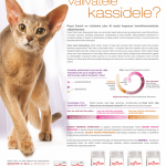 RC_kassid_exigent_print