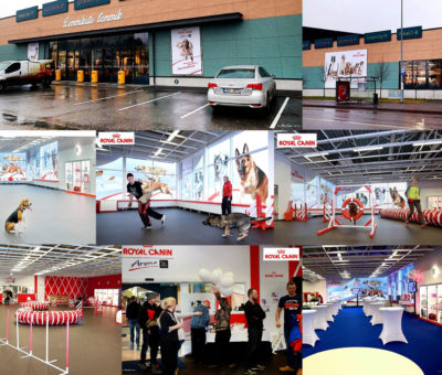 sisekujundus Royal Canin