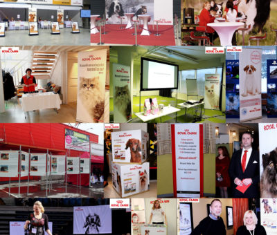 Näited ürituste reklaamidest